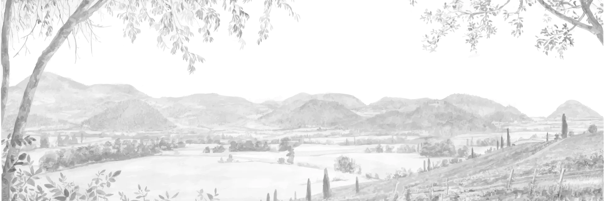 Più di un hotel ad Abano Terme, Mioni Pezzato Thermal Resort